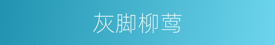 灰脚柳莺的同义词