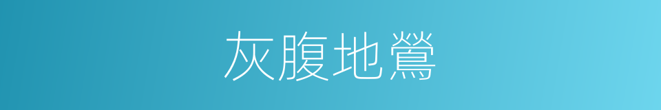 灰腹地鶯的同義詞