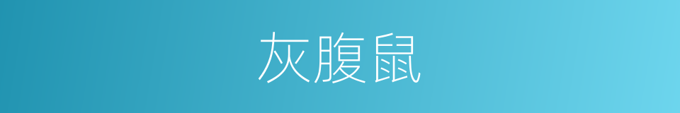 灰腹鼠的同义词