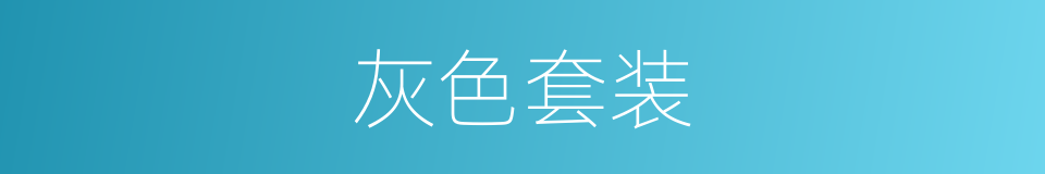 灰色套装的同义词