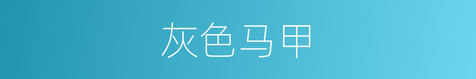 灰色马甲的同义词