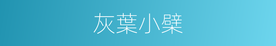 灰葉小檗的同義詞