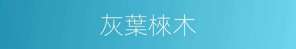 灰葉棶木的同義詞