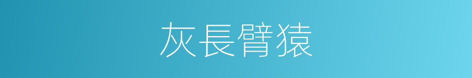 灰長臂猿的同義詞