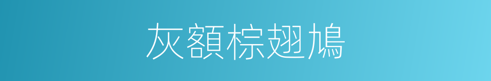 灰額棕翅鳩的同義詞