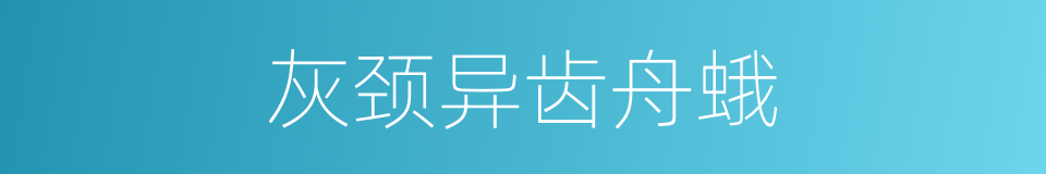 灰颈异齿舟蛾的同义词