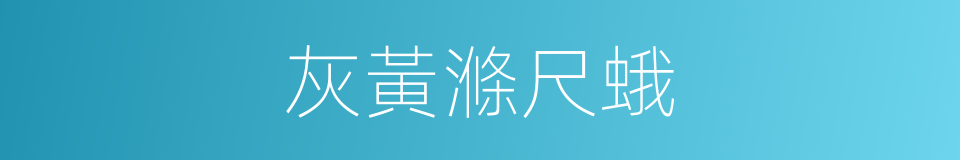灰黃滌尺蛾的同義詞