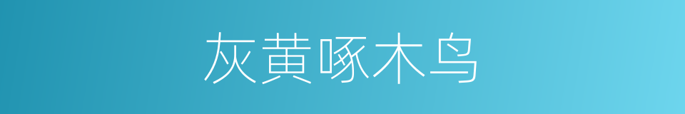 灰黄啄木鸟的同义词