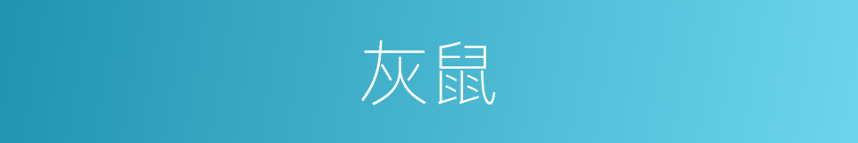 灰鼠的意思
