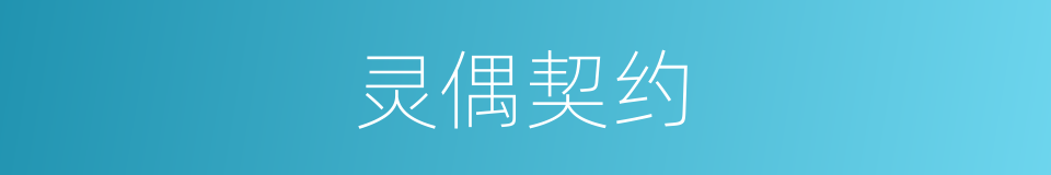 灵偶契约的同义词