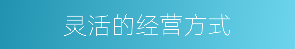 灵活的经营方式的同义词
