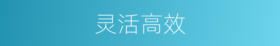 灵活高效的意思