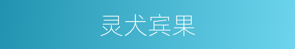 灵犬宾果的同义词