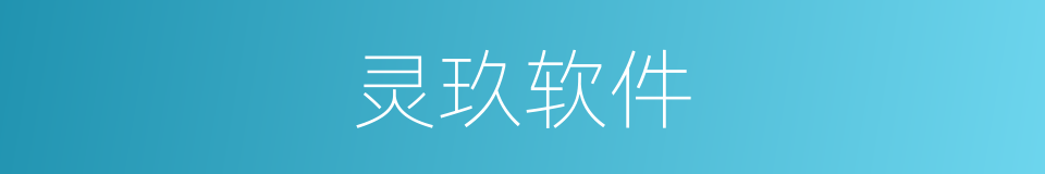 灵玖软件的同义词