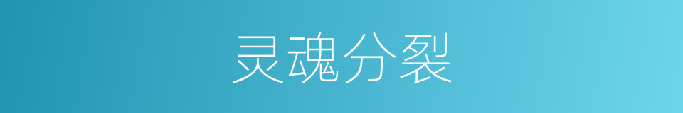 灵魂分裂的同义词