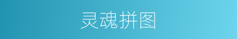 灵魂拼图的同义词