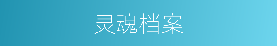灵魂档案的同义词