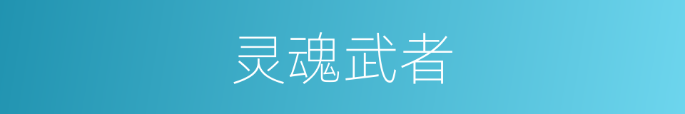 灵魂武者的同义词