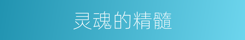 灵魂的精髓的同义词