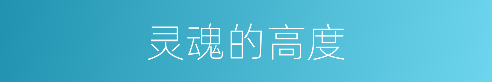 灵魂的高度的同义词