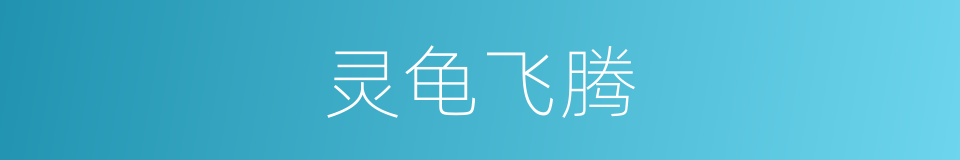 灵龟飞腾的同义词