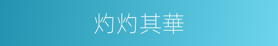 灼灼其華的意思