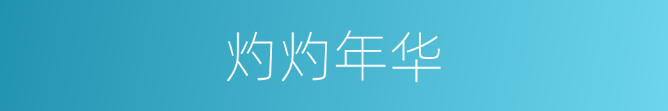 灼灼年华的同义词