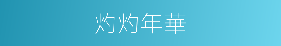 灼灼年華的同義詞