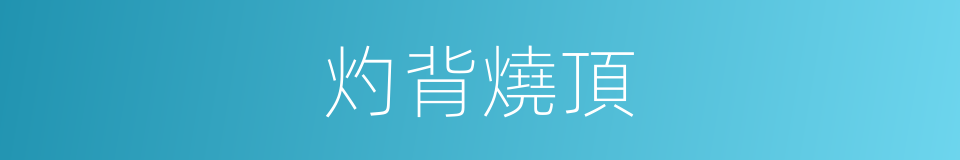 灼背燒頂的意思