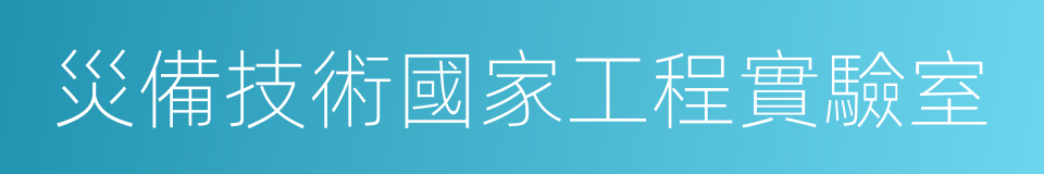 災備技術國家工程實驗室的同義詞