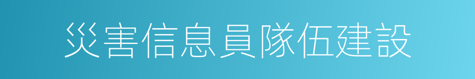 災害信息員隊伍建設的同義詞