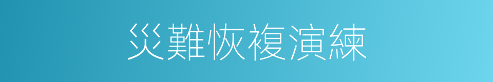 災難恢複演練的同義詞