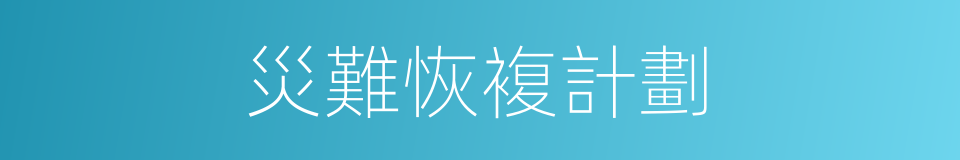 災難恢複計劃的同義詞