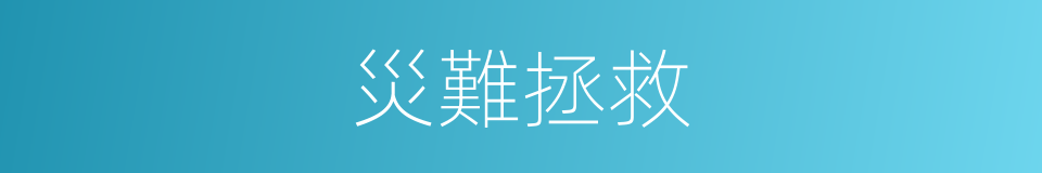 災難拯救的同義詞