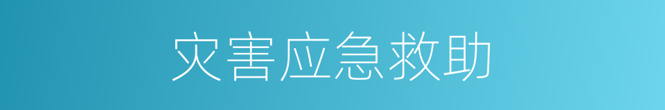 灾害应急救助的同义词