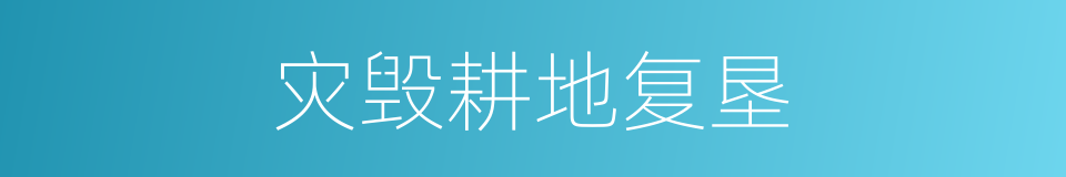 灾毁耕地复垦的同义词