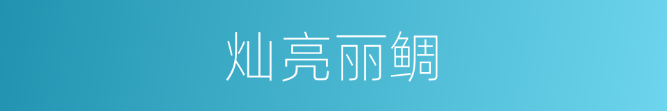 灿亮丽鲷的同义词