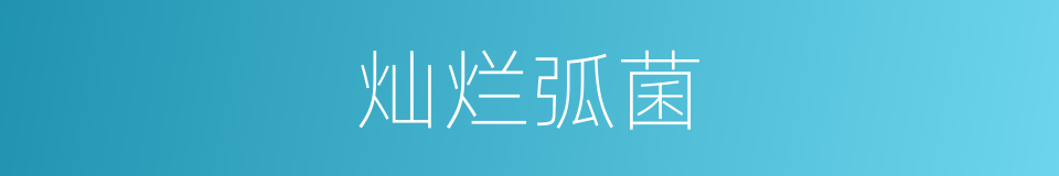 灿烂弧菌的同义词
