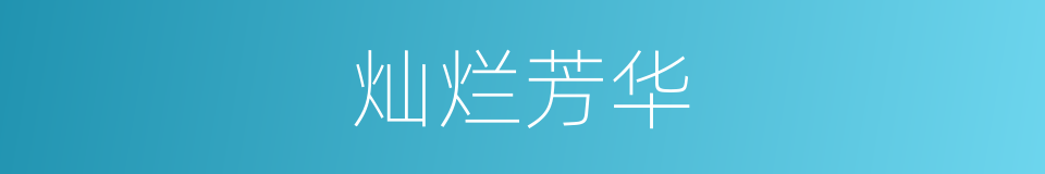 灿烂芳华的同义词