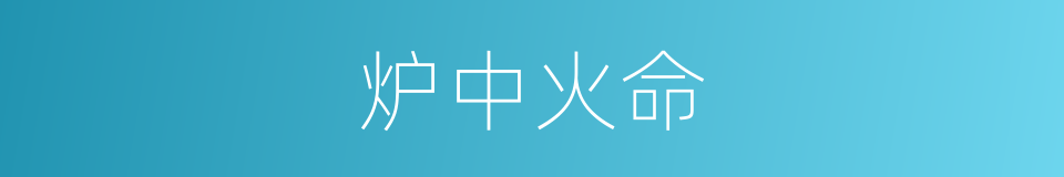 炉中火命的同义词