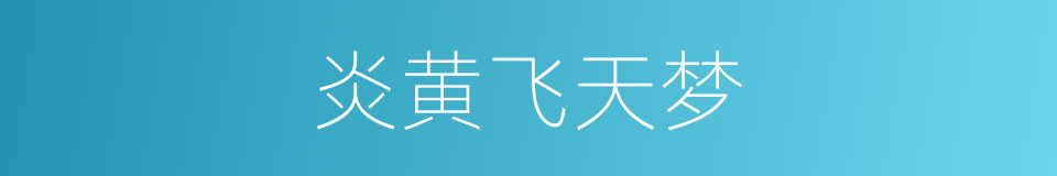 炎黄飞天梦的同义词