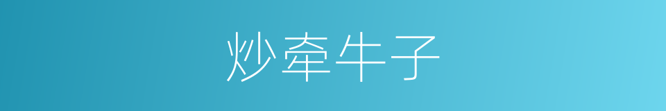 炒牵牛子的同义词
