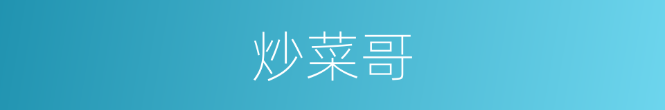 炒菜哥的同义词
