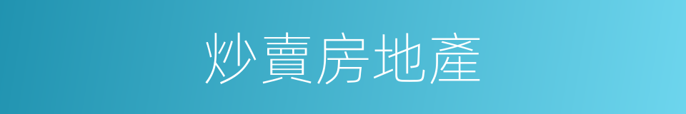 炒賣房地產的同義詞