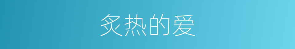 炙热的爱的同义词