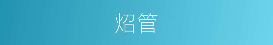 炤管的意思