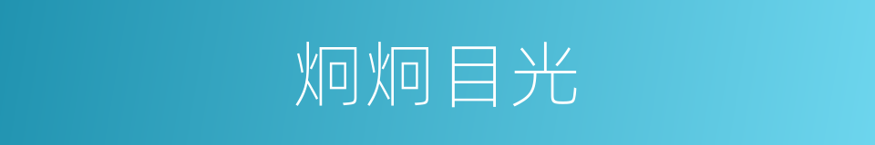 炯炯目光的意思