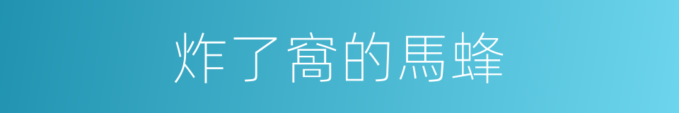 炸了窩的馬蜂的同義詞