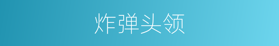 炸弹头领的同义词