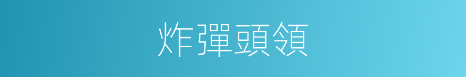 炸彈頭領的同義詞